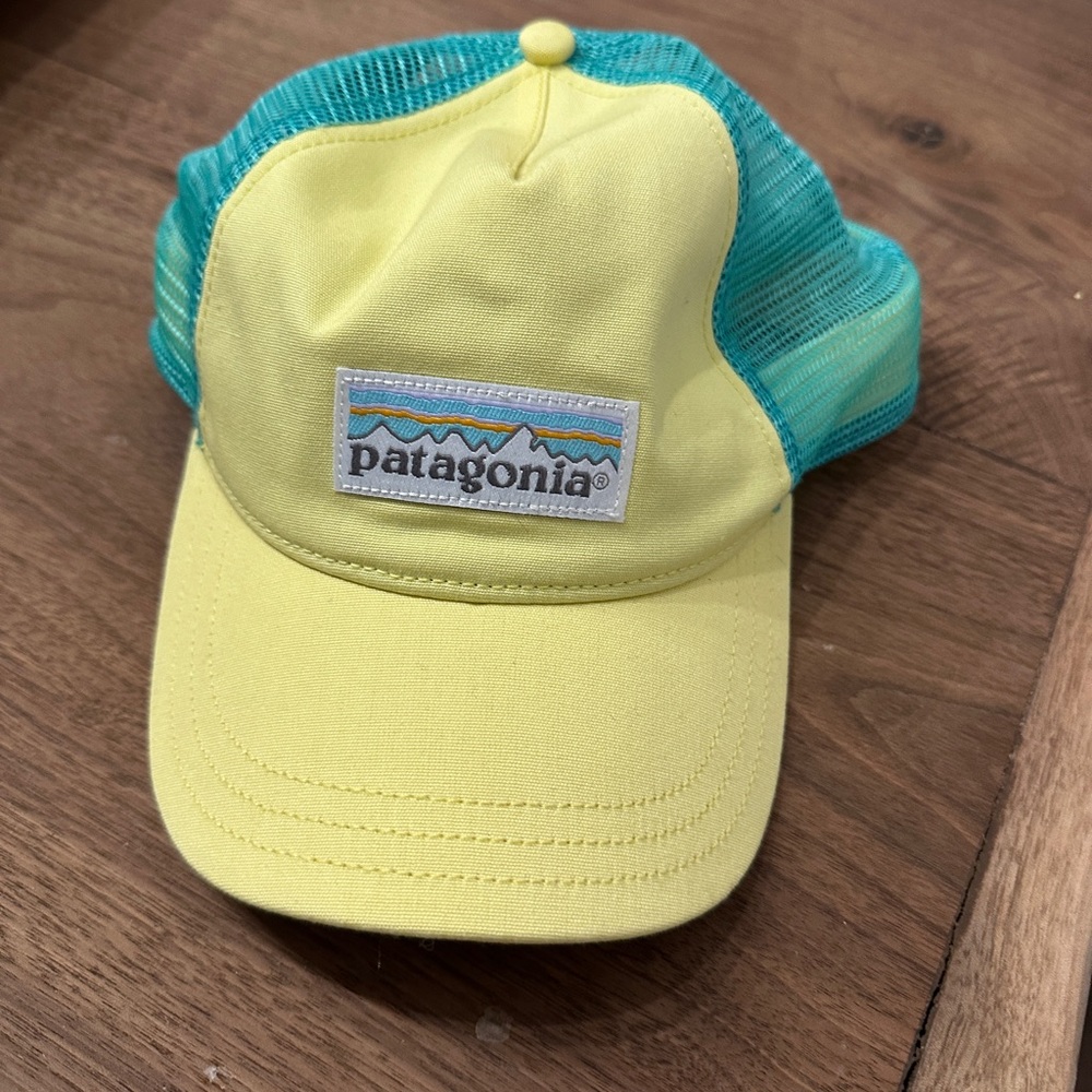 Patagonia Hat